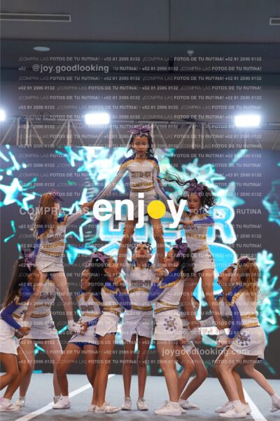 Joy Cub 081