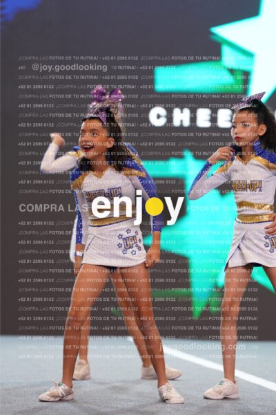 Joy Cub 123