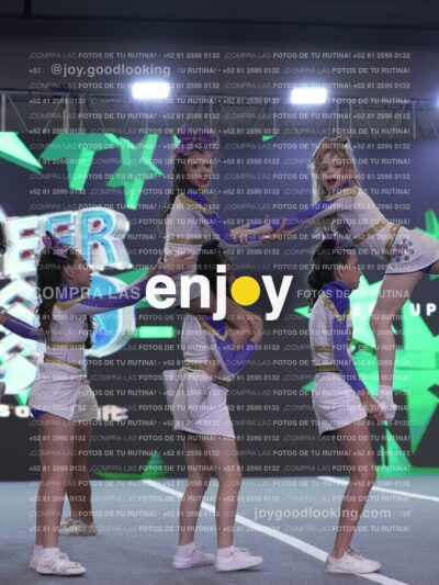 Joy Cub 224