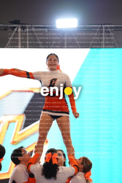 Joy Cwsm 055