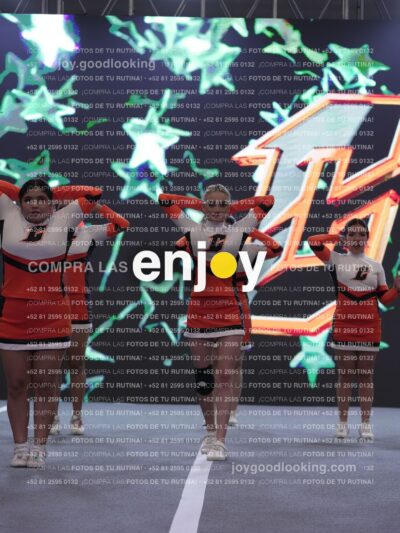 Joy Cwsm 115