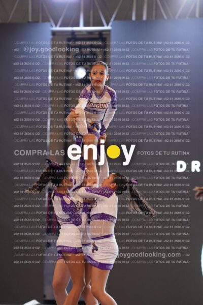 Joy Dpg 050