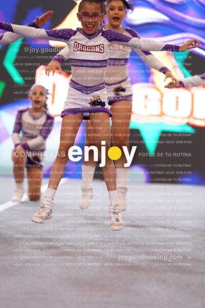 Joy Dpg 078