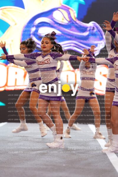 Joy Dpg 118