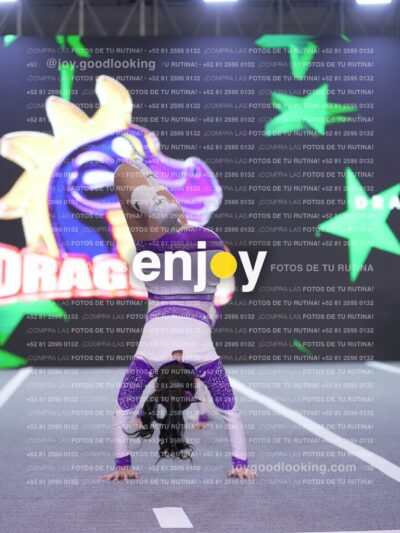 Joy Dpg 145