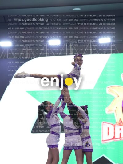 Joy Dpg 197