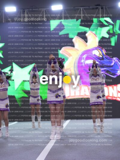 Joy Dpg 201