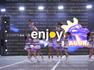 Joy Dpg 213