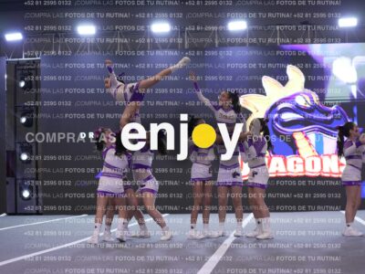 Joy Dpg 214