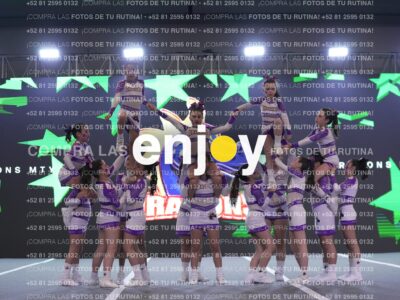 Joy Dpg 242