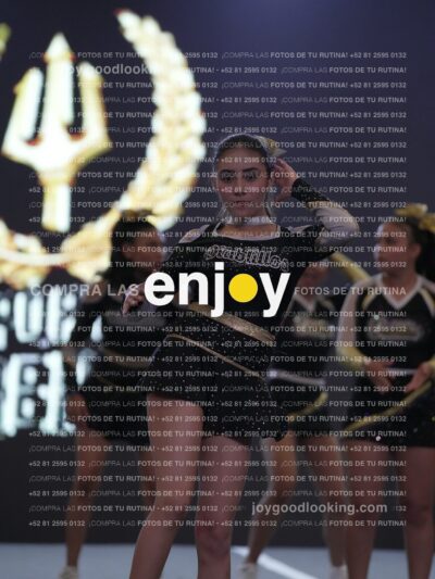 Joy Dswsf 035