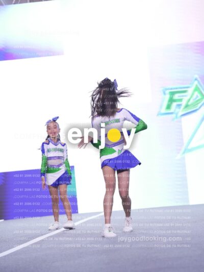 Joy F3 216