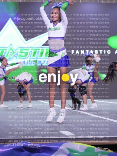 Joy F3 442