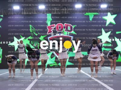 Joy Ffuf 001