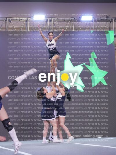 Joy Fj1 224