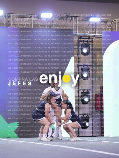 Joy Fj1 249