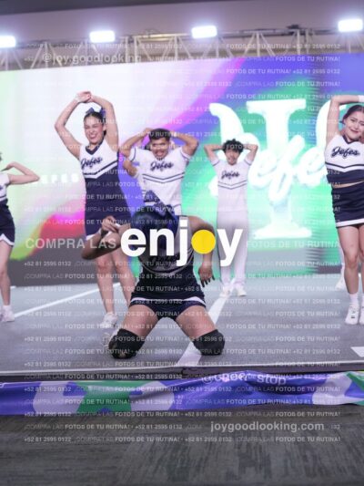 Joy Fj1 449
