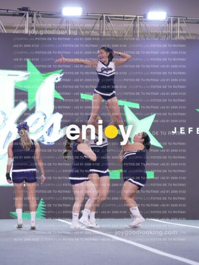 Joy Fj7 202