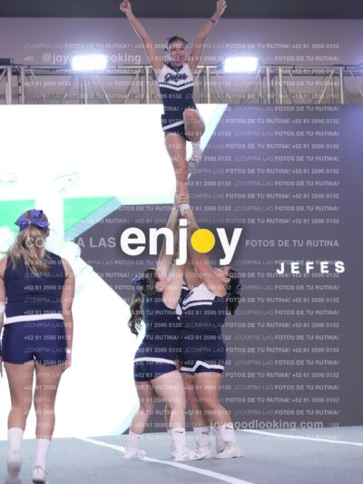 Joy Fj7 218
