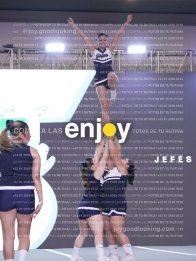 Joy Fj7 221