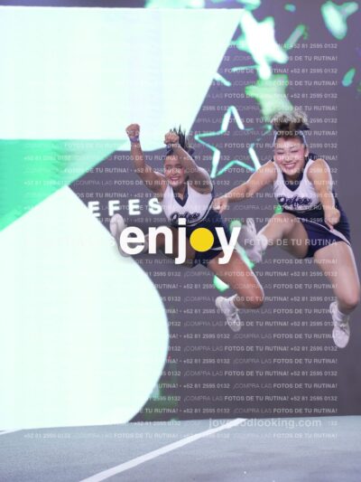 Joy Fj7 266