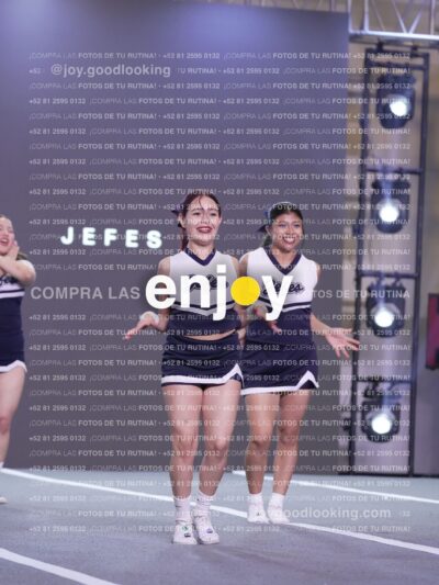 Joy Fj7 411