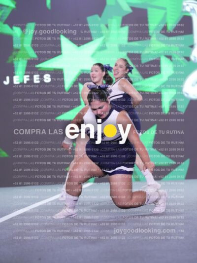 Joy Fj7 431