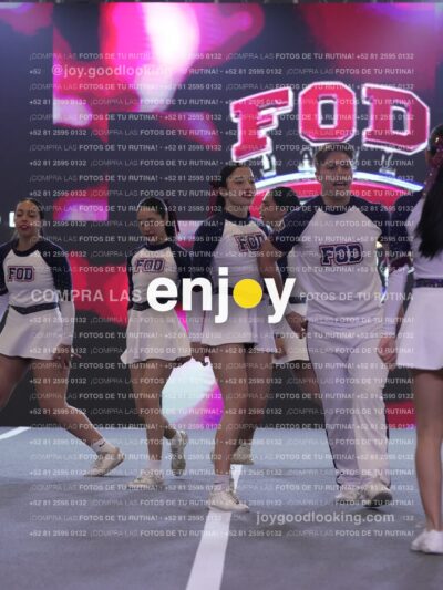 Joy Fm 229