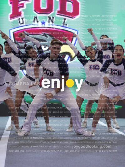 Joy Fm 295