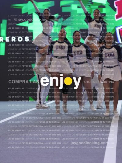 Joy Fm 301