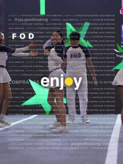 Joy Fm 306