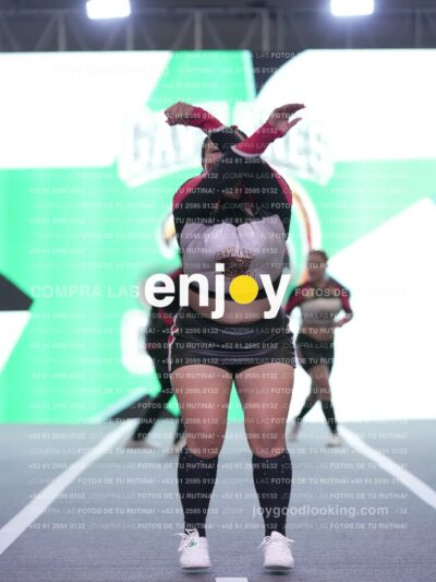 Joy Gc1M 001