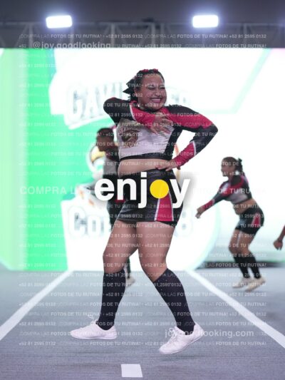 Joy Gc1M 005