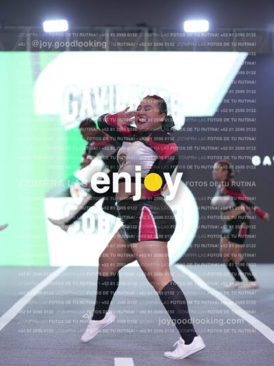 Joy Gc1M 006