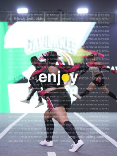 Joy Gc1M 007