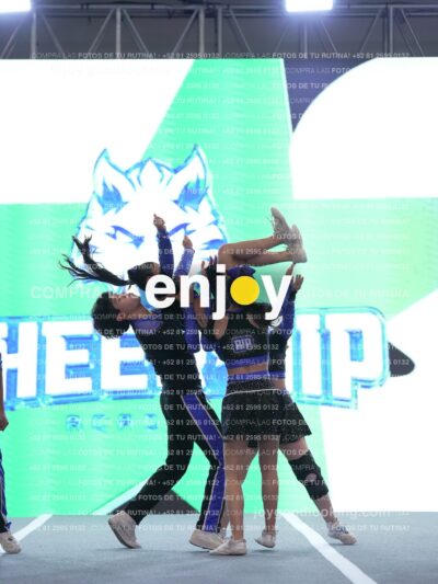Joy Gsnt 013