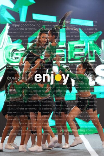 Joy Gsss 104