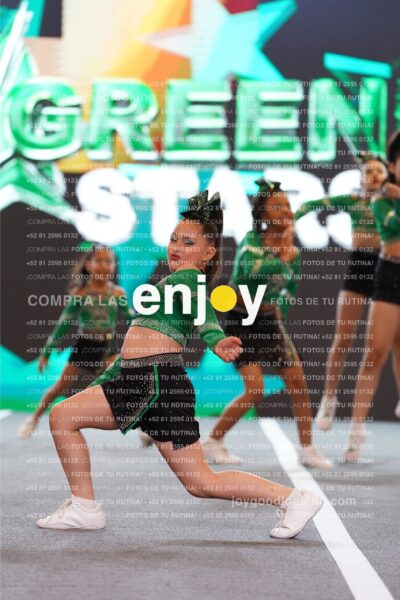 Joy Gsss 148