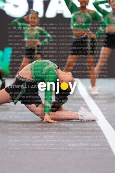 Joy Gsss 152
