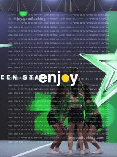 Joy Gsss 197