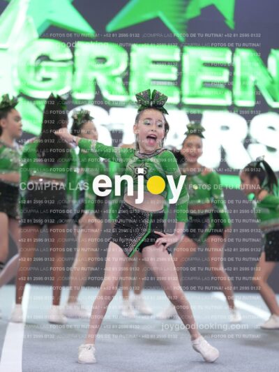 Joy Gsss 231