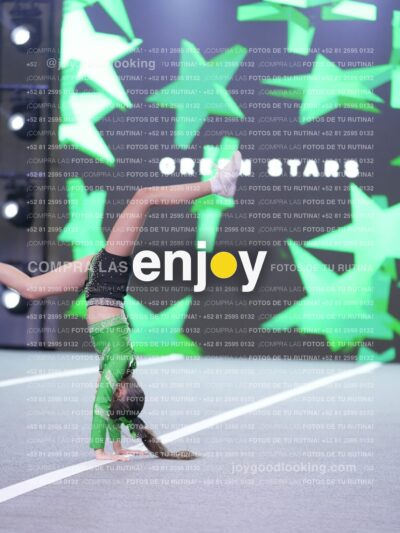 Joy Gsss 240