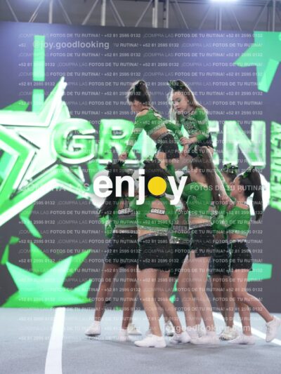 Joy Gsss 242