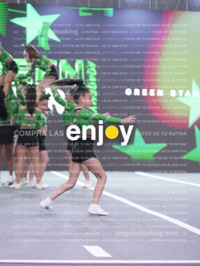 Joy Gsss 244