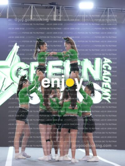Joy Gsss 252