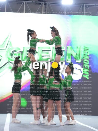 Joy Gsss 253