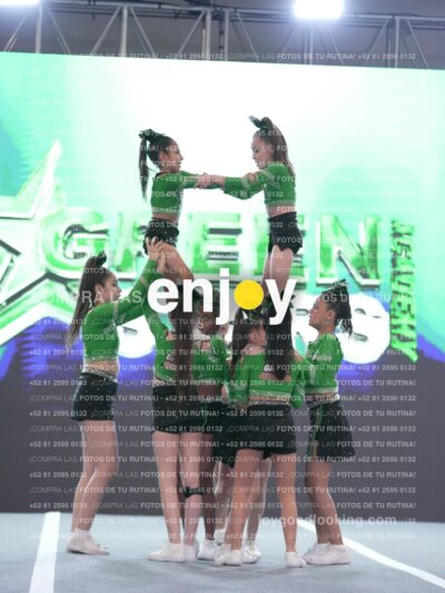 Joy Gsss 254