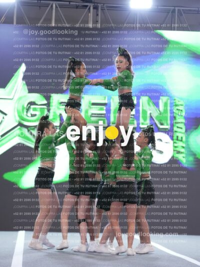 Joy Gsss 255