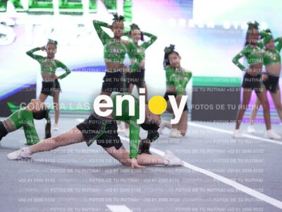 Joy Gsss 284