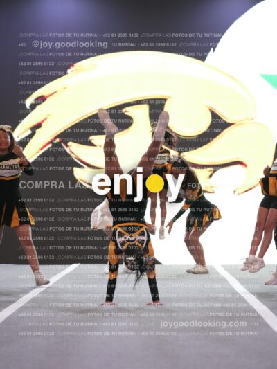 Joy Hsf 004